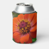 オレンジ《植物》百日草ワイルドフラワー自然フローラ 缶クーラー (缶裏面)