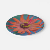 オレンジ《植物》百日草紙プレート ペーパープレート (アングル)