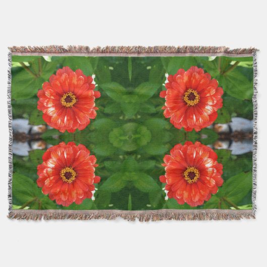 オレンジ《植物》百日草 スローブランケット (正面)