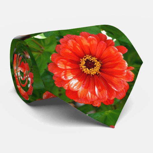 オレンジ《植物》百日草 ネクタイ (ロール)