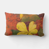 オレンジ、赤く、黄色の紅葉の屋外の枕 アウトドアクッション (裏面)