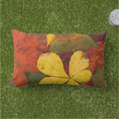 オレンジ、赤く、黄色の紅葉の屋外の枕 アウトドアクッション (芝生)