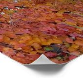 オレンジ、赤、紫の葉の秋の家族の木のポスター ポスター (角)