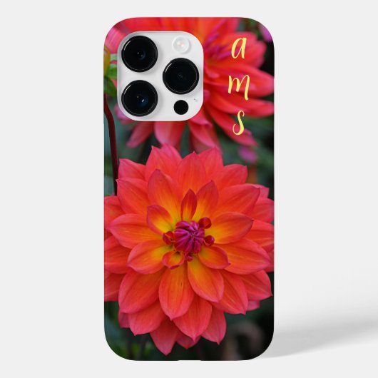 オレンジ、赤、黄色のダリア花 Case-Mate iPhoneケース (裏面)