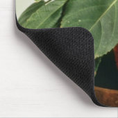 オレンジAcalyphaのHispidaのシュニールの植物の花 マウスパッド (コーナー)