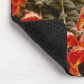 オレンジColumnea Gloriosaの金魚の植物の花 マウスパッド (コーナー)