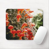 オレンジColumnea Gloriosaの金魚の植物の花 マウスパッド (マウス)