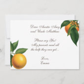 オレンジGODPARENTS提案植物緑葉色 カード (裏面)