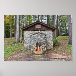 オレンダ春サラトガカウンティニューヨーク ポスター