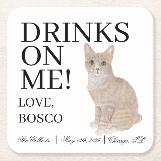 オレンパーソナライズされたジタビーキャッ結婚ト スクエアペーパーコースター (正面)