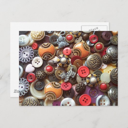 オレンファンシージボタンと子猫ボタン ポストカード (正面/裏面)