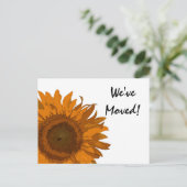 オレンポップ・アートのジアートフラワー住所の変更 案内ポストカード (スタンド正面)