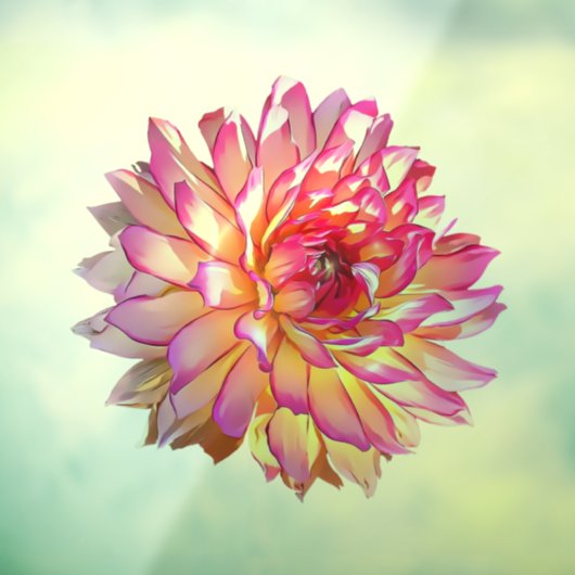 オレン淡い色のグラデーションジピンク巨乳ダリア花 ウィンドウサイン (シート3)