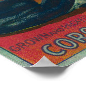 オレン王室のジラベルコロナ、CA ポスター (角)