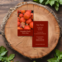 オレン素朴ジカボチャ