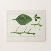 オレン葉ジ(Poncirus Trifoliata絵画) ジグソーパズル (横)