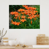 オレン鮮やかジのユリ ポスター (キッチン)