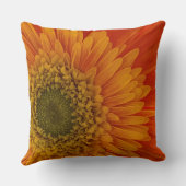 オレン鮮やかジゲルベラデイジー クッション (裏面)