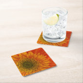 オレン鮮やかジゲルベラデイジー スクエアペーパーコースター (インサイチュ)