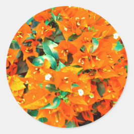 オレン鮮やかジブーゲンビリアの花 ラウンドシール
