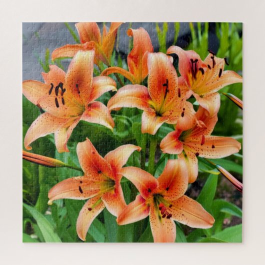 オレン鮮やかジライズインフル開花 ジグソーパズル (縦)
