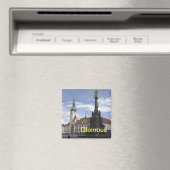 オロモウツマグネット マグネット (インサイチュ (食洗機))