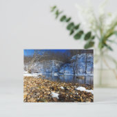 オロンニー川の冬、ハイバンクスのメトロパーク、OH ポストカード (スタンド正面)