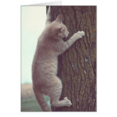 オンつる (正面)