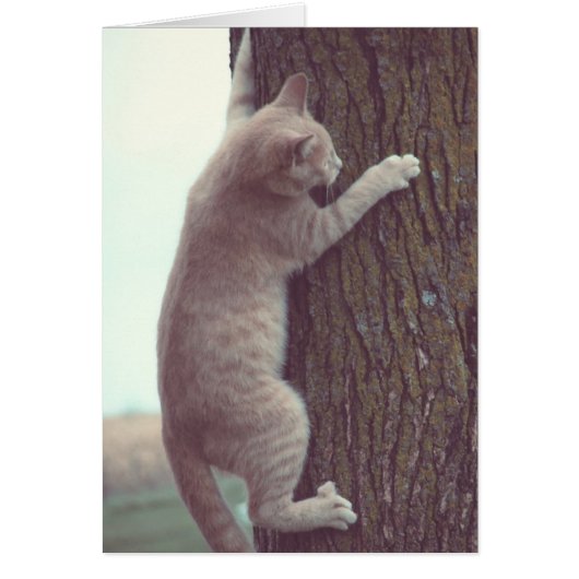 オンつる (正面)