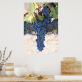 オンザバイン ポスター (キッチン)