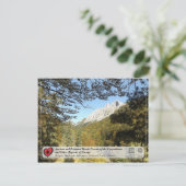 オンシェントアンドプリメバルビーチフォレスト-ラジャカ ポストカード (スタンド正面)