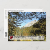 オンシェントアンドプリメバルビーチフォレスト-ラジャカ ポストカード (正面/裏面)