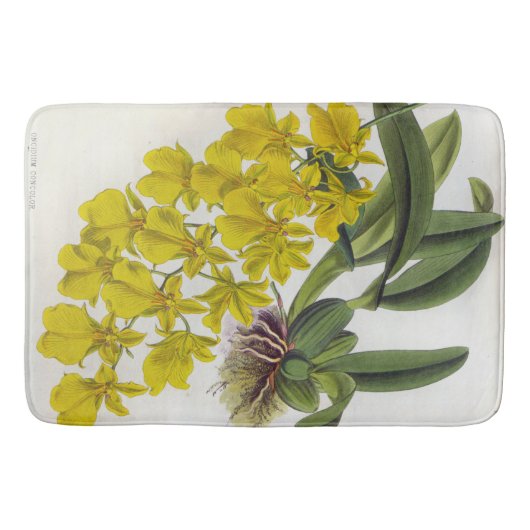 オンシジウムコンカラーヴィンテージリンデニアオーキズ バスマット (正面)