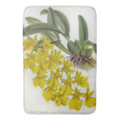 オンシジウムコンカラーヴィンテージリンデニアオーキズ バスマット (正面縦)