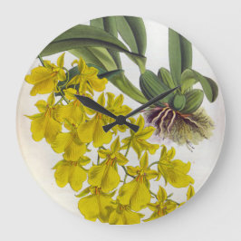 オンシジウムコンカラーヴィンテージリンデニアオーキズ ラージ壁時計