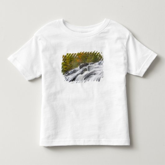 オンタナゴン川中流のボンド滝 トドラーTシャツ (正面)
