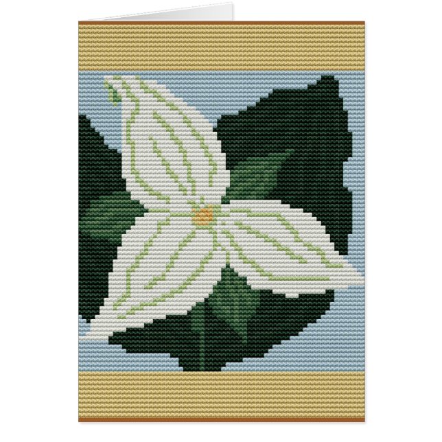 オンタリオのエンレイソウ (正面)