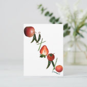 オンタリオ州の果物と野菜 ポストカード (スタンド正面)