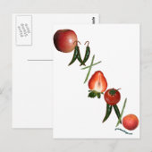 オンタリオ州の果物と野菜 ポストカード (正面/裏面)