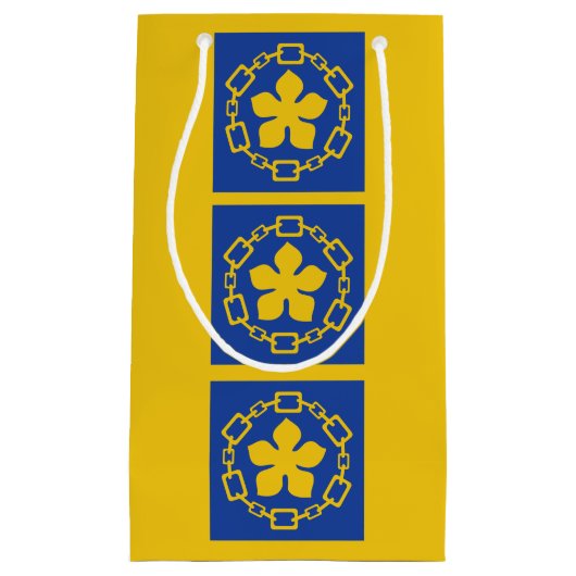 オンタリオ州ハミルトン州旗抱き枕 スモールペーパーバッグ (正面)