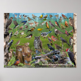 オンタリオ州北部の裏庭の鳥 ポスター