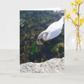 オンタリオ湖で白鳥が見空白のる カード (黄色い花)