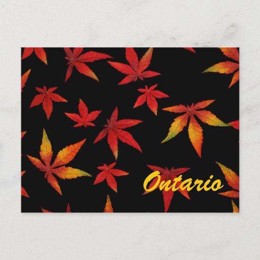 オンタリオ紅葉はがき ポストカード (正面)