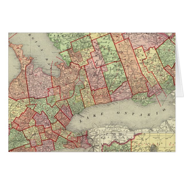 オンタリオ4 (正面横)