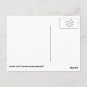 オンタリオ，キングストン湖 ポストカード (裏面)