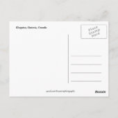 オンタリオ、キングストン通りアットナイト ポストカード (裏面)