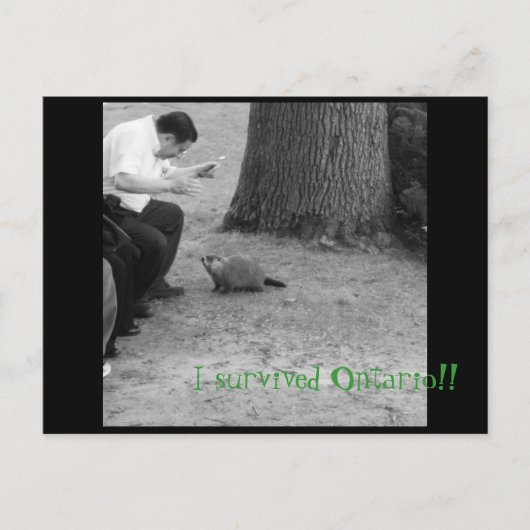 オンタ生き延びリオ!! ポストカード (正面)