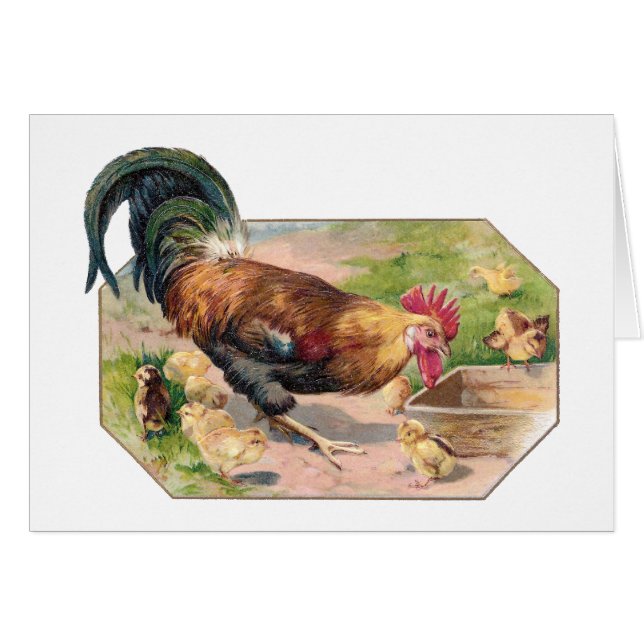 オンドリおよびひよこ (正面横)