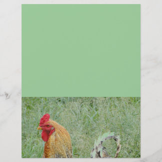 オンドリのアニマル・ファームのカラフルの鶏