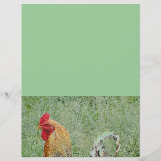 オンドリのアニマル・ファームのカラフルの鶏 (正面)